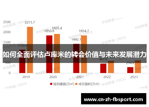 如何全面评估卢库米的转会价值与未来发展潜力