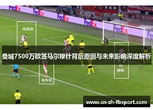曼城7500万欧签马尔穆什背后原因与未来影响深度解析